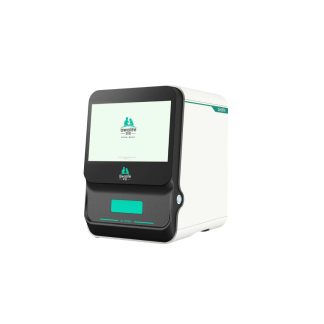 AI-80Vet Morphological Analyzer